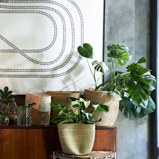 Grass Woven Basket - in Natural