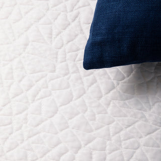 Snow Mattress Protector