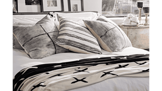 Scatter Cushions: The Perfect Accent for Any Space