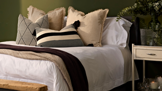 Explore Cosy Comfort with Premium Throw Blankets from Ethos Store