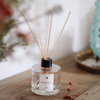 Geodesis Ambiance Diffusers - Fig Tree