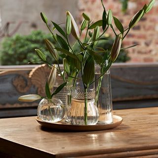 Clarity Set of Five Glass Vases